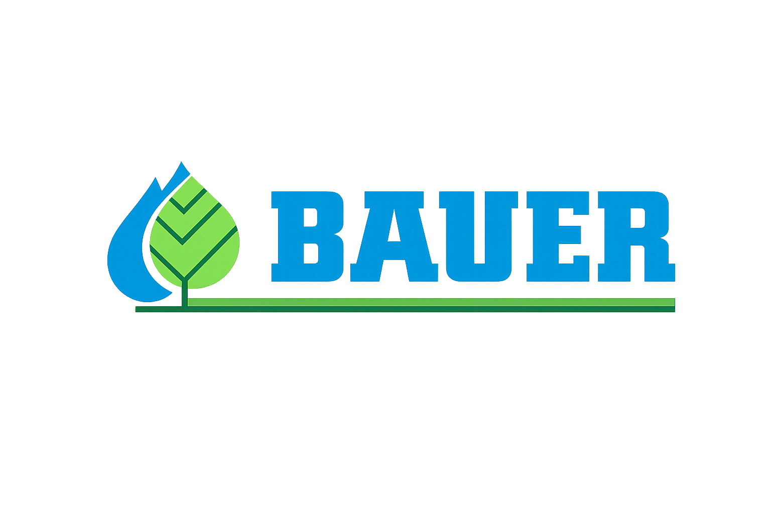 Bauer