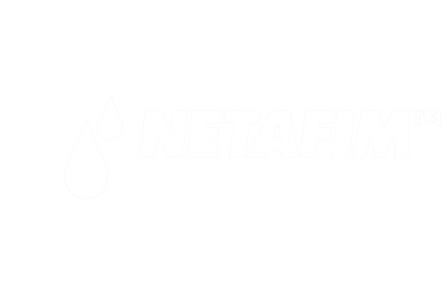 Metafim